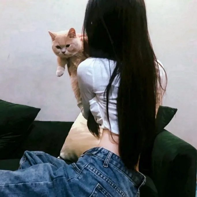 汤姆求学记